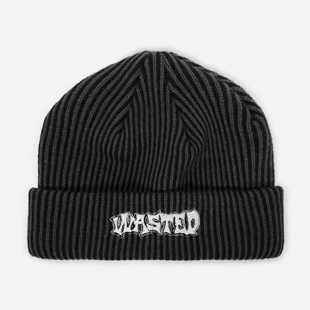 wasted paris ビーニー ニット帽 WASTED PARIS(ウェイステッドパリス) - Lethal Beanie リーサル