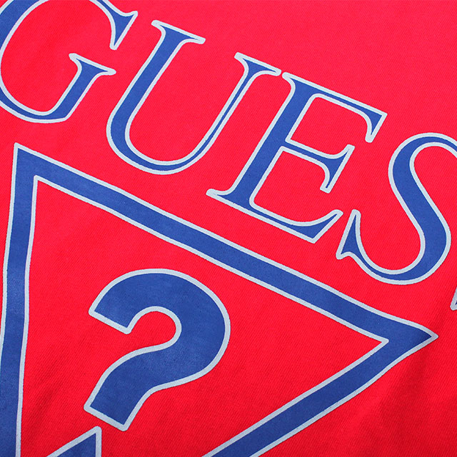 GUESS GREEN LABEL TRIANGLE QUESTION MARK LS TEE ゲス グリーン